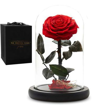 China Immortal Prince Glass Lid Keeps Real Rose Dome Preserved High Grade Wholesale Festival Gift Small for sale