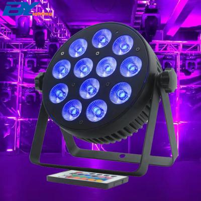 China Hot sale 12pcs wedding Canton par light wedding club event led par light rgbw led mini flat par light with remote control for sale