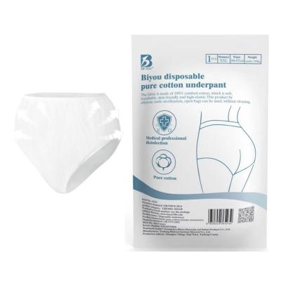 China OEM Service Mid-Rise Antibacterial Postpartum Women Disposable Underwear With Sanitary Pads for sale