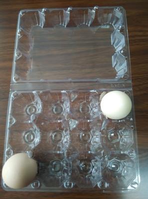 China quail egg trays 30 holes egg trays blister packing factory supply PVC  folding boxes for sale