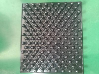 China blister trays for seeding PS for sale