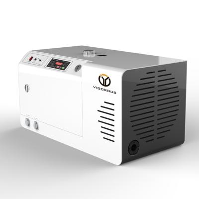 China 220V Gasoline Portable Electric Silent 8000 Watt Personal Generator LT8000S for sale