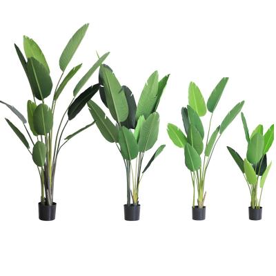 China Minimalist Bonsai Traveler Plant Artificial Plant Decorated Bamboo Artificial Tree for sale