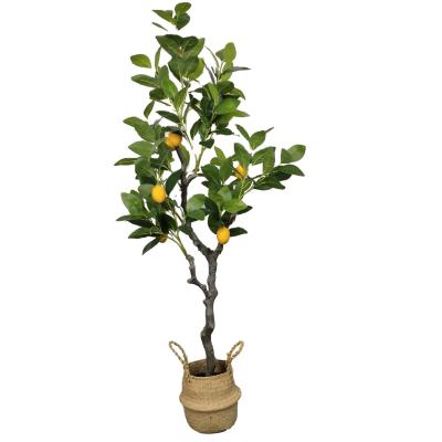 China Wholesale Custom Artificial Lemon Tree Bonsai Newly Decoration Artificial Tree Pots for sale