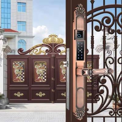 China Ttlock Exterior Decorative Gold Plated High Waterproof ttlock Digital Front Door Sliding Door Biometric Keyless Fingerprint Smart Lock for sale