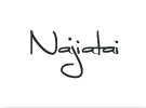 Najiatai Co., Ltd.