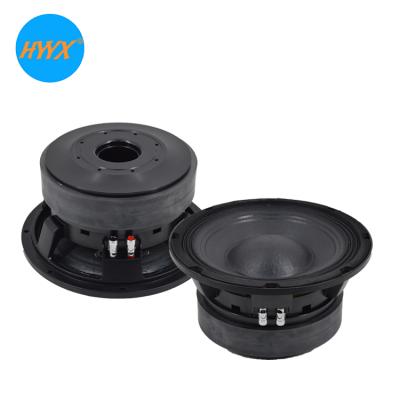 China Ferrite 10 Inch Large 10 Inch Woofer Speaker Power Speaker With Double Magnet for sale