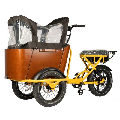 China NO Foldable Three Wheel Cargo Tricycle E-bike for Food Delivery and Carrying Children for sale