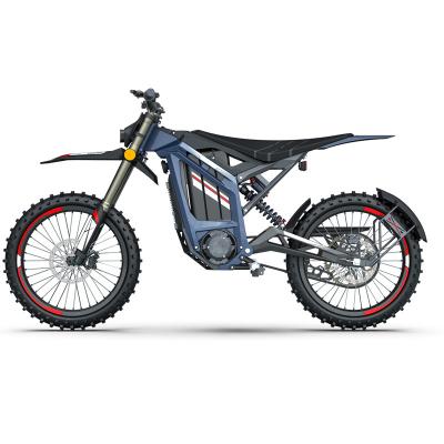 Cina Off Road Adventure Electric Dirt Bike con telaio in alluminio e batteria al litio in vendita