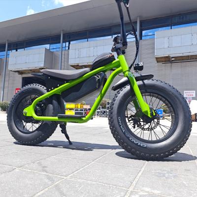 China Electric Dirt Bike with Down Tube Battery Position 48 13AH Small Size Fat Tire Ripper for sale