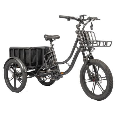 Chine Vitesse de 28 km/h Moteur à moyeu arrière Pneus gras Vélo de cargaison familial pour livraison de nourriture Tricycle E-bike à vendre