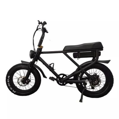 China Fat Tyre Electric Bike Snow Beach Fast Speed Customized Electric Bicycle 2 Seats E Bike for sale