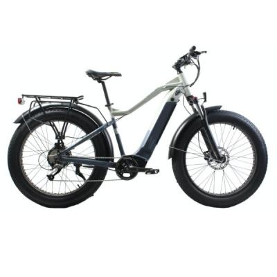 China B10 City Bike Aluminum Frame E-Bike with Down Tube Battery 26inch Wheel and LCD Display for sale