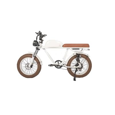 China LCD Display Electric Bike with 48V Battery 750W 1000W Motor 7 Speed and Vintage Style for sale