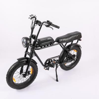 China Bicicleta eléctrica de batería de 48V para adultos 750W 1000W Motor de 7 velocidades 20