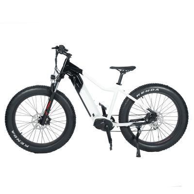 China Scheerrem en 20*4.0 KENDA band High Power Electric Mountain Bike voor stadsrijden Te koop