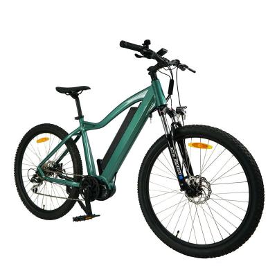 Chine Vélo électrique à pneus gras personnalisé pour 2024 Vitesse maximale 30-50Km/h Frein à disque 36V Batterie au lithium à vendre