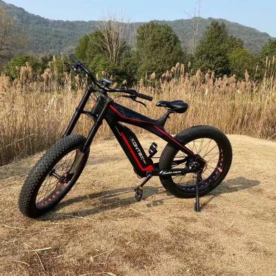 China Disc Brake Long Range Mountain Bike with Carbon Fibre Frame and Bafang 48v 750W Motor for sale