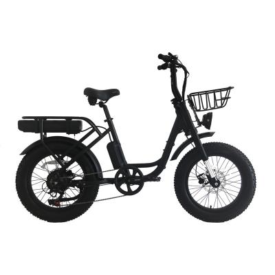 China 2024 Super Electric Hybrid Bike 20 inch Fat Tire e-bike voor vrouw 48V Smart Sensor Te koop