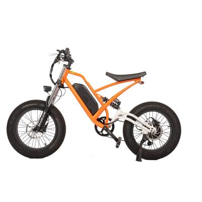 China Achterhoekmotor 750w High Speed Dirt Bike Off-Road Electric Fat Tire Bike Electric Cruiser Bikes Te koop