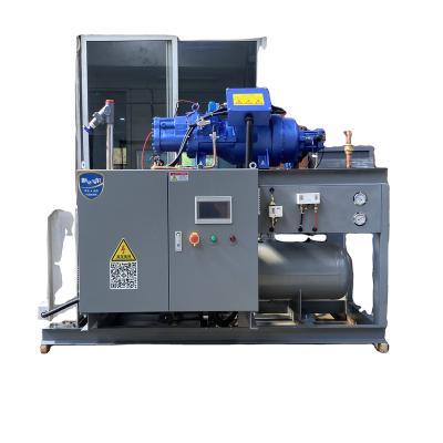 China Hotels Snowball Factory Supply 3HP 4HP 5HP 6HP 9HP 12hp 50HP Compressor Air Cooled Condensing Unit for Cold Room for sale