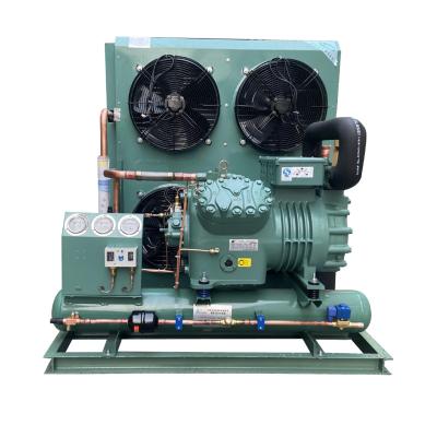 China Hotels Snowball Fish And Meat Cold Storage Equipment Compressor Air Cooled Condensing Unit for sale