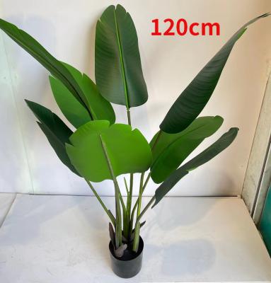 China 120cm Environmentally Friendly Artificial Banana Trees Real Touch Leaves Indoor Decorative Bonsai Plants for sale