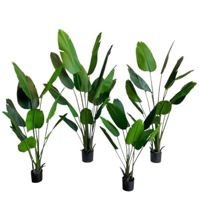 China Environmental Friendly Artificial Real Touch Banana Potted Stock 120Cm Plants for sale