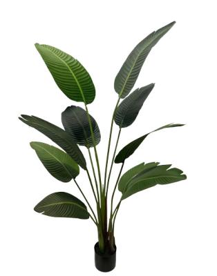 China Plastic Artificial Potted Silk Cloth 120/160/180/210Cm Travels Banana Tree Plants Environmentally Friendly for sale