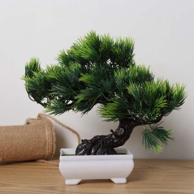 China Hot Sale 24cm High Environmentally Friendly Mini Artificial Pine Tree Bonsai Plant for sale