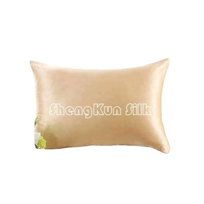 China Queen Kissenbezug Kissen Queen Kissenbezug Kissen 100% Oxford Fake 100% Oxford Pure Silk Pillowcase Pillow Cover 19MM/22MM Light Blue Anti-Aging Non-Toxic for sale