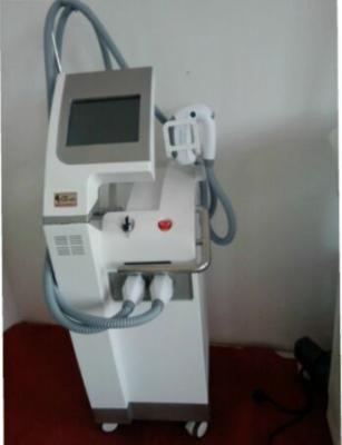 China SHR Skin Tighten Dora IPL RF E light 10.4