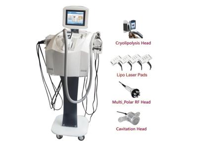 중국 뚱뚱한 감소를 위한 기계 진공 Cryolipolysis를 체중을 줄이는 레이저 Lipo 공동현상 판매용