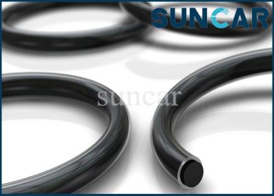 China O-Ring Robbe Kit For Sealing des Ring-CS2 zu verkaufen