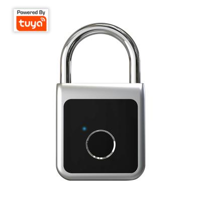 China 3000 Times Factory YH-G5 Tuya Smart Door Padlock Fingerprint Home Padlock for sale