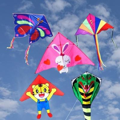 China Gift Logo Kites for sale