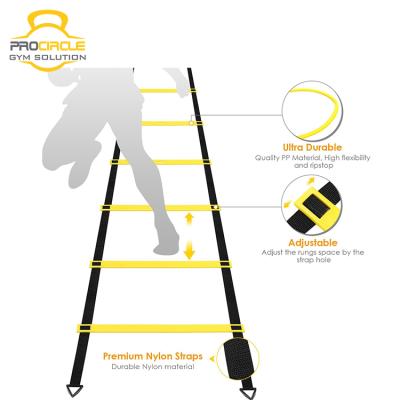 China Flat Folding Ladders Procircle Agility Ladder Agility Training Ladder Speed ​​Rung for sale