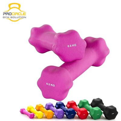 China Wholesale Portable / Durable High Quality Commercial Rubber Coated Cast Iron Dumbbells for sale