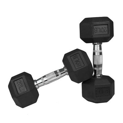 China Durable Gym Fitness Body Workout Weight Lifting Strength Training Equipment Dumbbell for sale