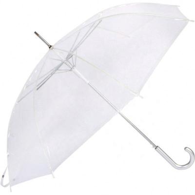 China Contemporary Clear See Through Dome Shaped Apolo Bubble Plastic POE Straight Transparent Umbrella for sale