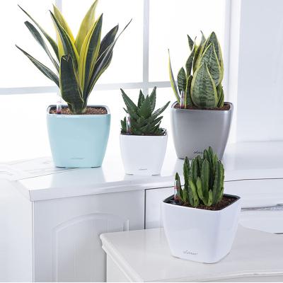 China Modern minimalist eco-friendly indoor square balcony balcony plastic flower pot for sale