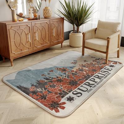 China 80*160cm Washable Innovative Living Room Entrance Door Non-Slip Small Home Mat for sale