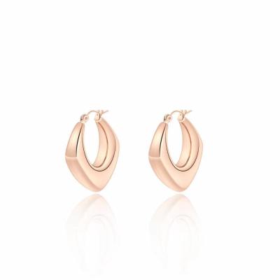 China New Environmentally friendly European and American CIS earrings 18K stainless steel geometric gold plated hollow earrings for sale