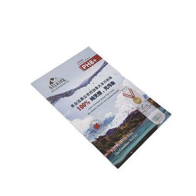 China paper & 2021 New Custom Cardboard Promotion A4 250gsm Double Sided Printing Brochure Folding Flyer Printing for sale