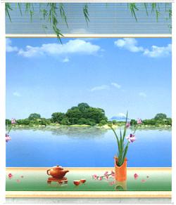 China Spring Polyester Patterned Roller Blind Manual Control Embossed for sale