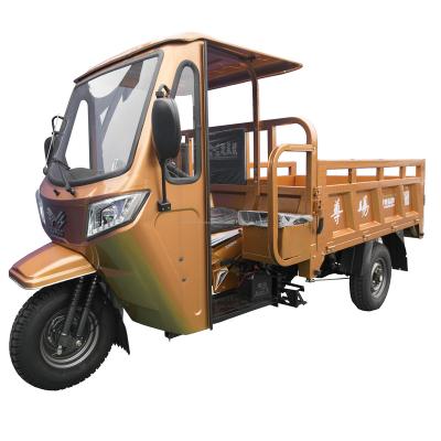 China Cargo Three Wheeled Agricultural Motorcycle Tricycle Cargo Tricycle 250cc Motorized Tricycle for sale