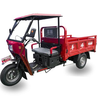 China Cargo motorized tricycle with cabin three wheel covered gas motorcycle cargo tricycle for sale for sale