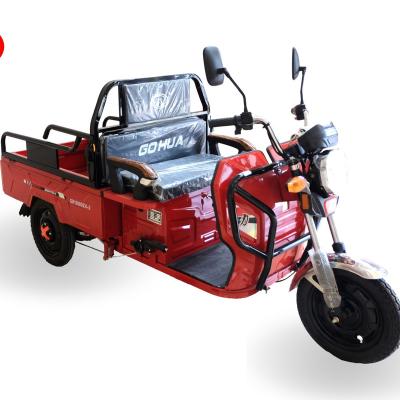 China Chinese 3 Wheeler Cargo With Two Seat Electric Bike Three Wheel Cargo Tricycle Electric Trike For Cargo for sale