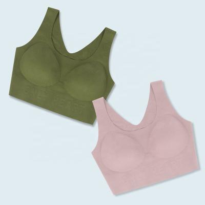 China Free Wholesale QUICK DRY Women Wear Radio Cup Traceless Daily Soft Seamless Yarn T-shirt Sleep Bra For Girls for sale