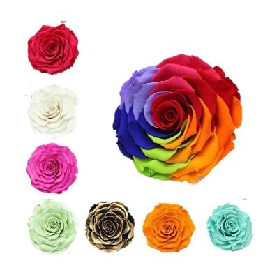 China 3-5 years of Yunnan FancyRose decorative flower time life choose rose Rose Buds preserved everlasting large size 7-8cm for sale